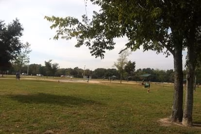 Dog parks in Houston, Texas, Texas